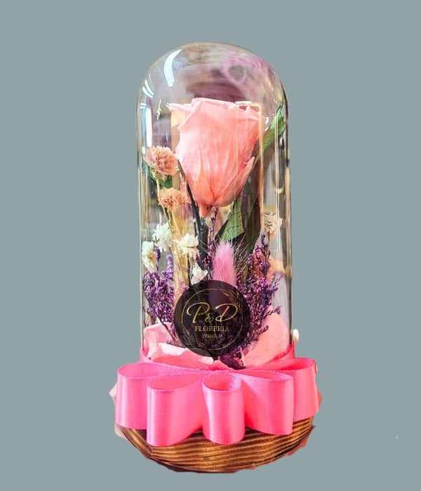 Rosa Eterna Rosada y Follaje