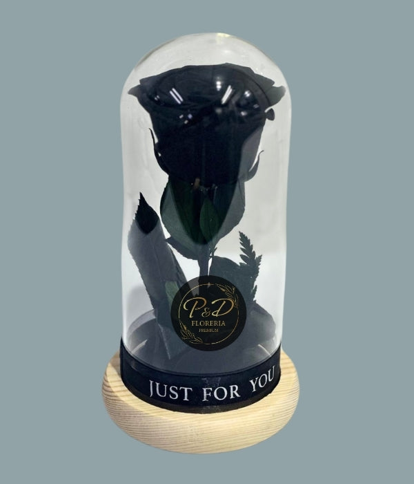 Cúpula Eterna Negra