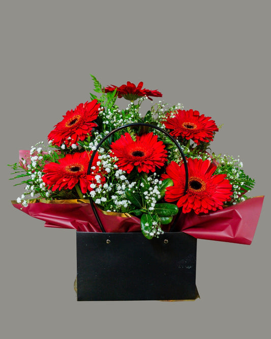 Carterita Gerberas Roja