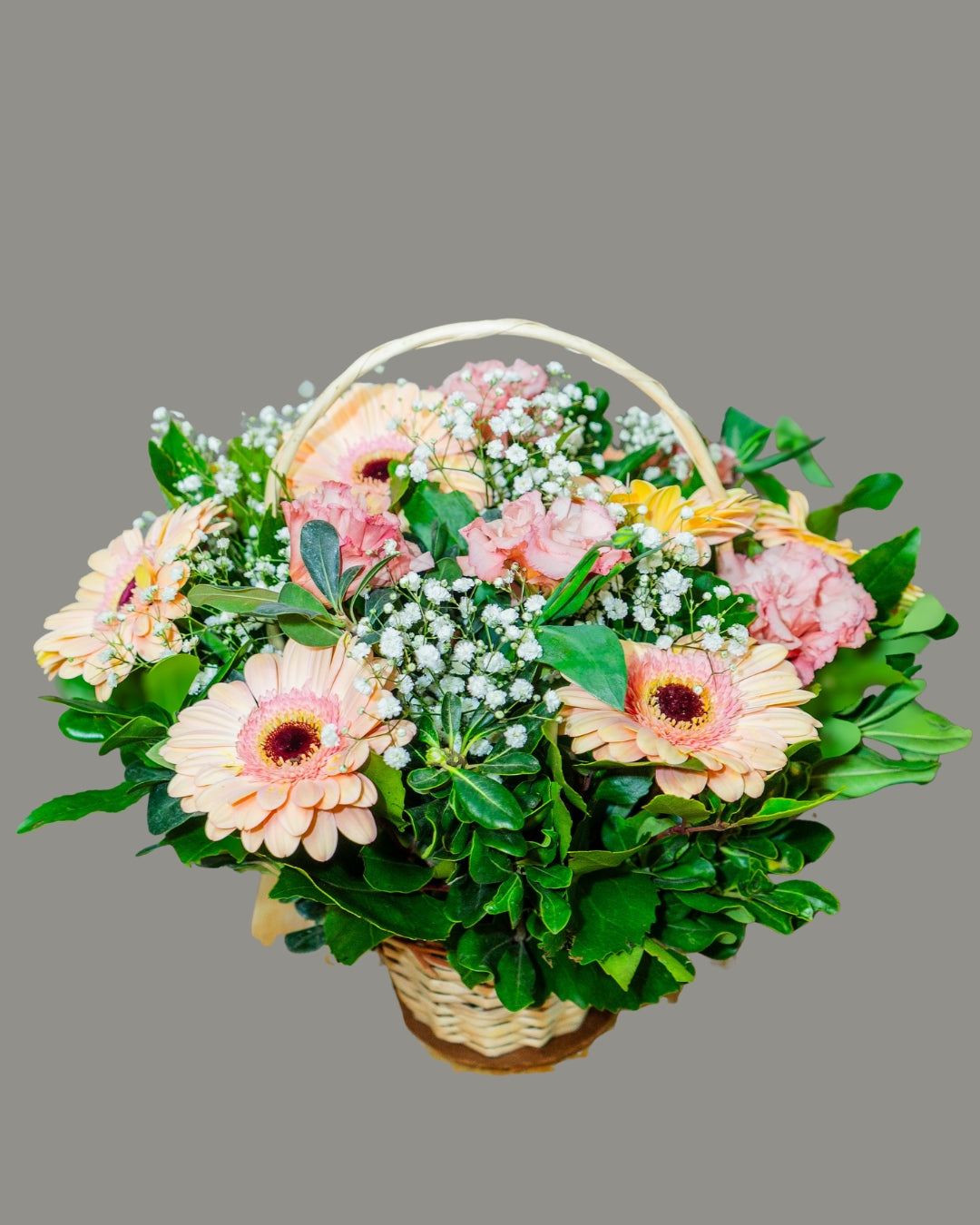 Canasto Pastel