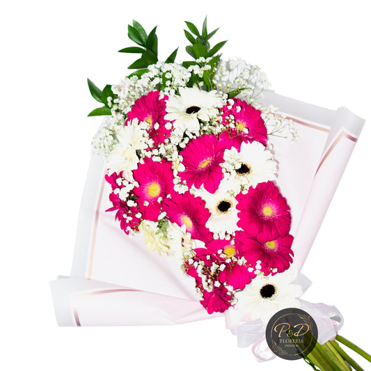 Ramo Gerberas Blancas y Fucsias 18 varas