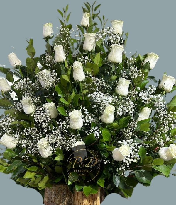 Arrimo 25 Rosas Blancas