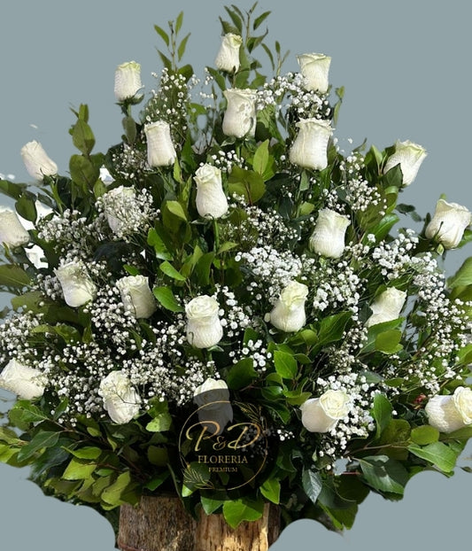 Arrimo 25 Rosas Blancas