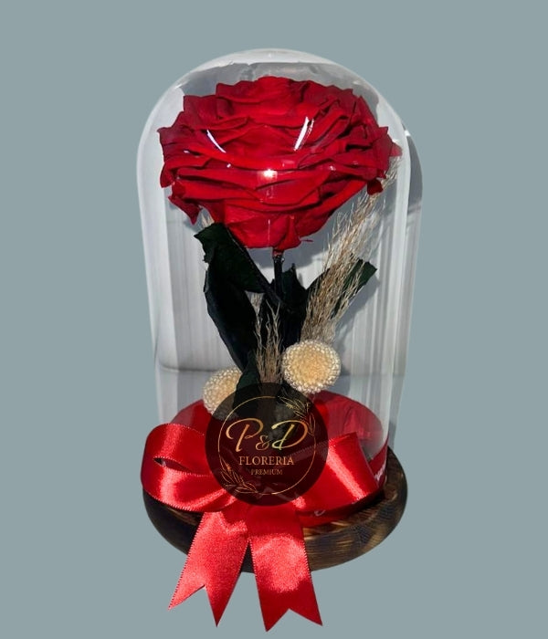 Rosa Preservada XL